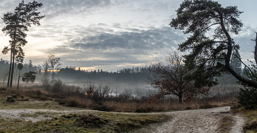 Staatsbos panorama