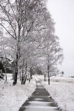 Winters landschap in Nederland van Photographer_Kathinka
