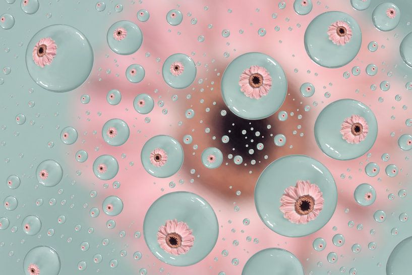 Bulbes à fleurs par Jeroen Segers