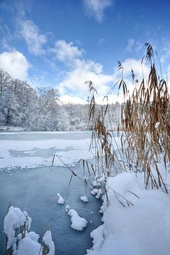 Winter aan het meer van Tobias Majewski
