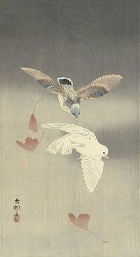 Ohara Koson - Twee duiven met vallende ginkgobladeren (bewerkt) van Peter Balan