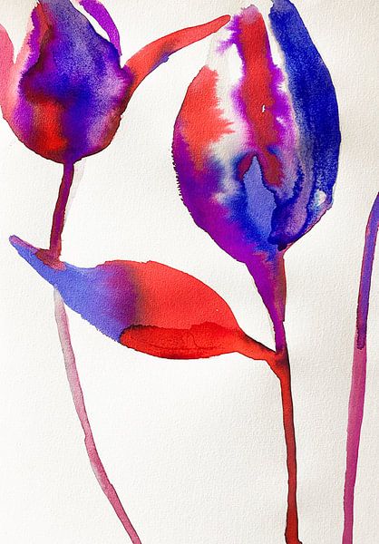 Rote und blaue Tulpen von Helia Tayebi Art