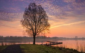 Morgens am See