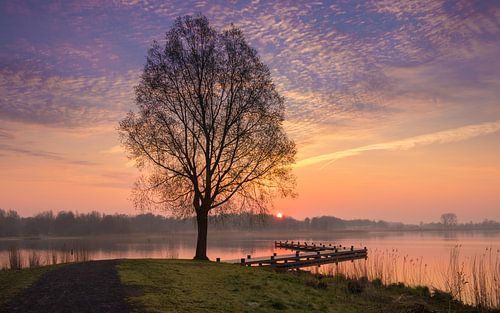 Ochtend aan het Zuidlaardermeer