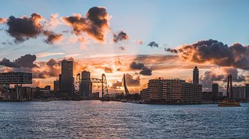 Rotterdam panorama van mark beyer
