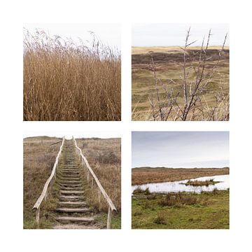 Vierteilig Texel, Dünen bei Muy von Monique Giling