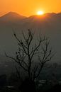 Zonsondergang bij Pai Canyon van Femke Ketelaar thumbnail