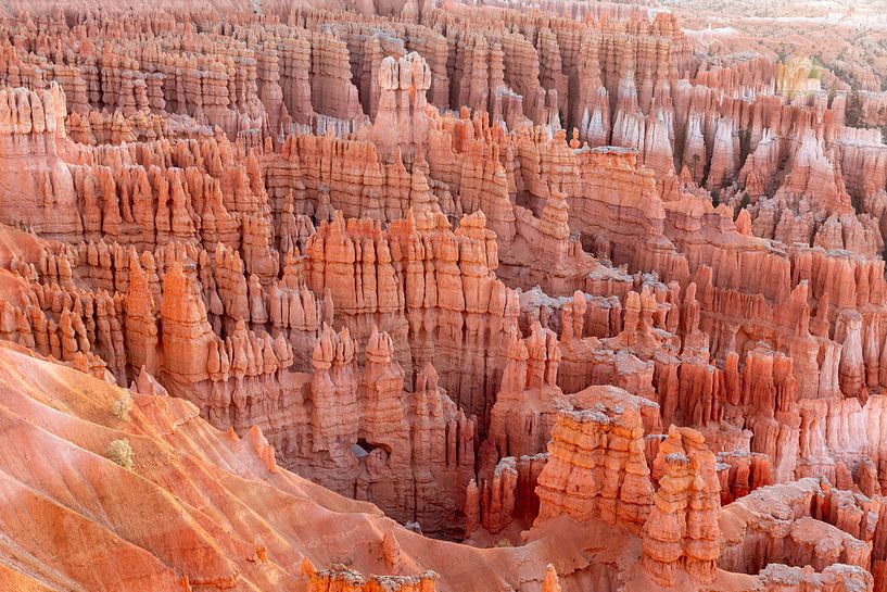 Bryce Canyon Nationaal Park, Utah, VS van Rob van Esch