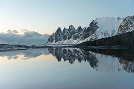 Nature as a mirror by Julia Schellig