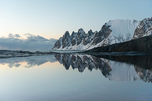 Die Natur als Spiegel