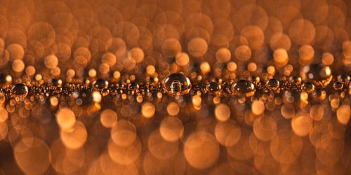 Golden, warm reflections – A modern panorama of droplets by Marjolijn van den Berg