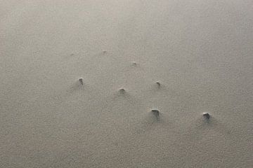 Schelpen in zandnevel van Martijn Smit