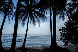 Whispers of Waves - Tropisches Strandpanorama von Femke Ketelaar