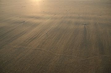 Goud zand in de wind fotoprint