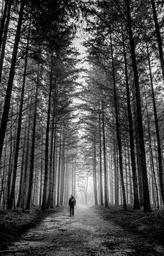 speulderbos von Martijn van Steenbergen