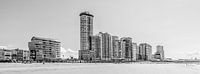 Skyline, boulevard and Vlissingen bathing beach (panorama, black and white)