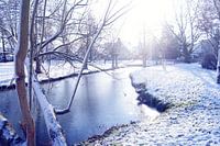 Winter wonderland