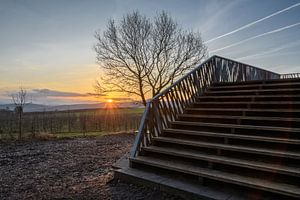 sun rise sur Heinz Grates