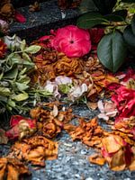 Verdroogde kleurrijke bloemen op begraafplaats