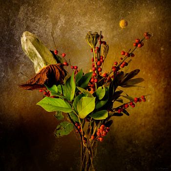 Casplant - Rouge et vert