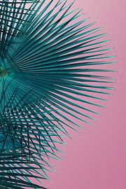 Blaugrünes Palmblatt und rosa Himmel, Sommersaison von Adriana Mueller