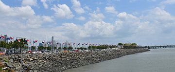 The road lined with the country's flag by Claude Laprise