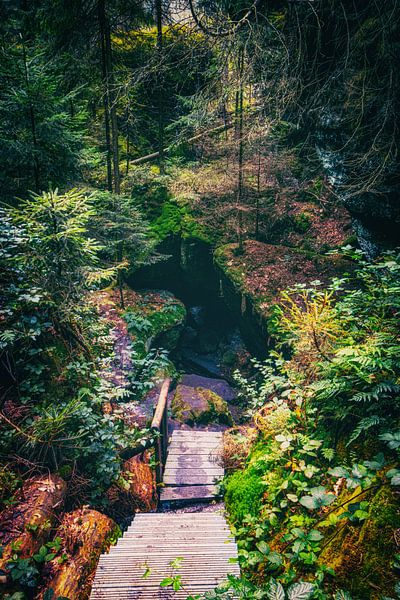 Blick in den Abgrund am Kirnitzschtal. Zwischen Felsen und Sandsteinen von Jakob Baranowski - Photography - Video - Photoshop