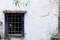Fenster