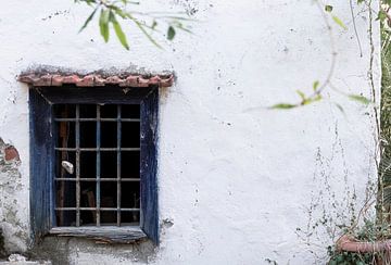 Windows van far-photography