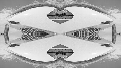 Futuristic symmetry – City of Arts and Sciences, Valencia by Bas Potman