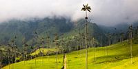 Palmiers dans la vallée de Cocora, Salento, Colombie par Bart van Eijden Aperçu