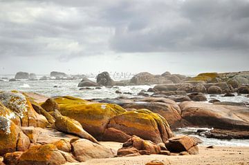 Rugged coast South Africa by Corinne Welp