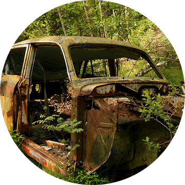 Auto op autokerkhof in het bos van Kvinne Fotografie