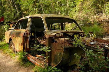 Auto op autokerkhof in het bos van Kvinne Fotografie