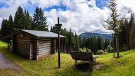 Grünes herz aussicht