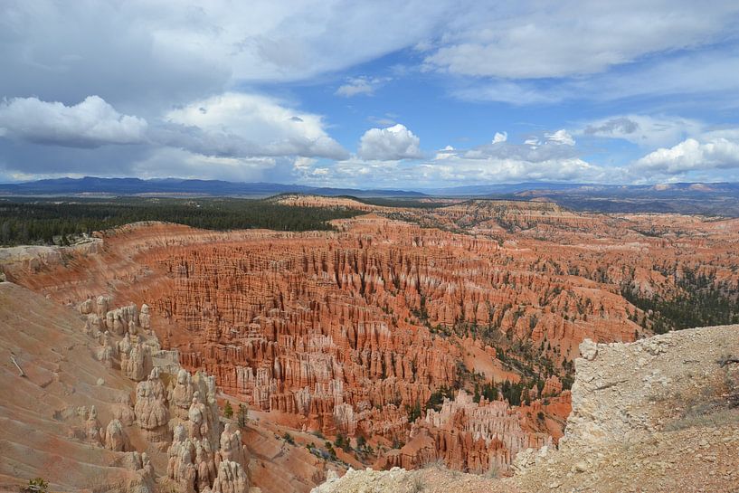 Hoodoos in Bryce Canyon by Bernard van Zwol