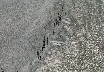 Wattenmeerläufer auf dem Wattenmeer zwischen Holwerd und Ameland von Sky Pictures Fotografie