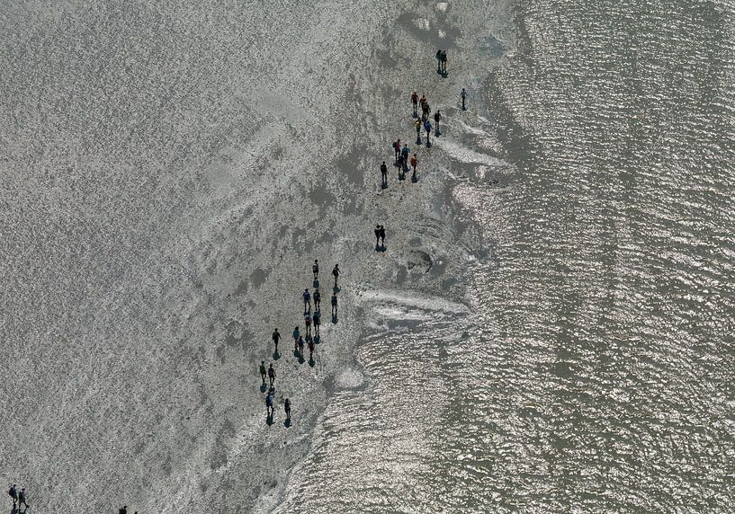 Wattenmeerläufer auf dem Wattenmeer zwischen Holwerd und Ameland von Sky Pictures Fotografie