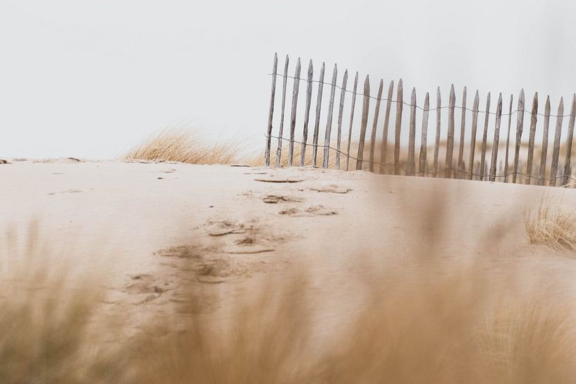 Dunes in the Westduinpark in Scheveningen by Anne Zwagers