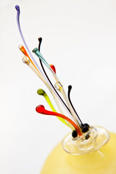 Glas kunst van Guido Akster