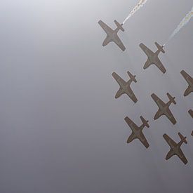 Les Snowbirds des Forces armées canadiennes. sur Jaap van den Berg