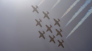 Canadian Armed Forces Snowbirds. van Jaap van den Berg