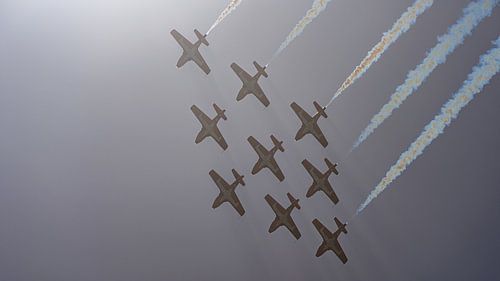 Canadian Armed Forces Snowbirds.