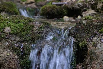 Water von Foto Hal