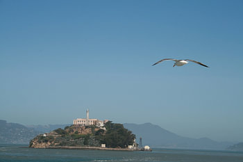 Alcatraz island