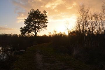 Nationaal park De Groote Peel van Hans Janssen