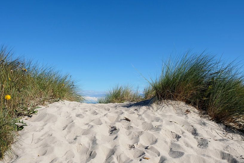 Summer Dunes by Ostsee Bilder