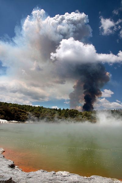 Forest fire in Wai-o-Tapu Geothermal Area, Rotorua, New Zealand by Christian Müringer
