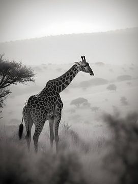 Giraffe in de savanne V2 van drdigitaldesign