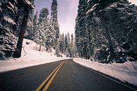 La route à travers la neige par Sander van Leeuwen Aperçu